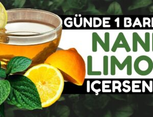 Nane limon faydaları, Nane limon tarifi