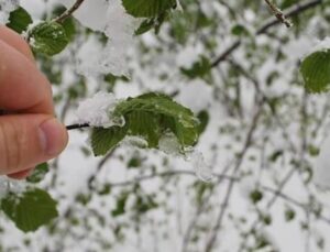 Meteoroloji’den zirai don uyarısı!