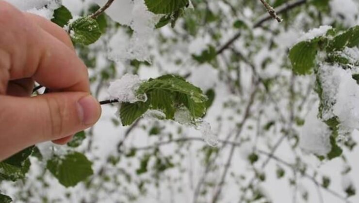 Meteoroloji’den zirai don uyarısı!